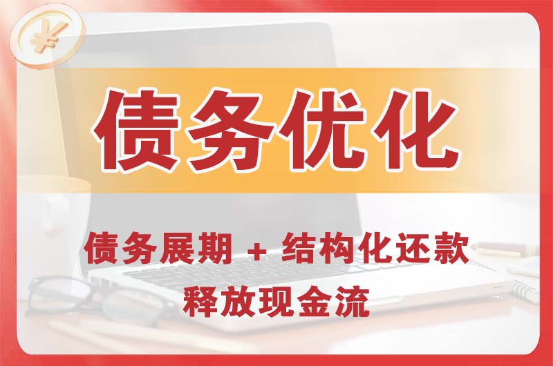 德阳债务优化